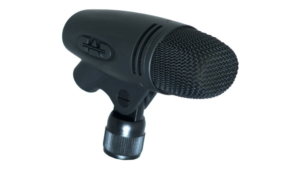 CAD AUDIO E60 Sml Diaph Cardi Condenser Mic - CAD E60 Cardioid Condenser Studio Microphone