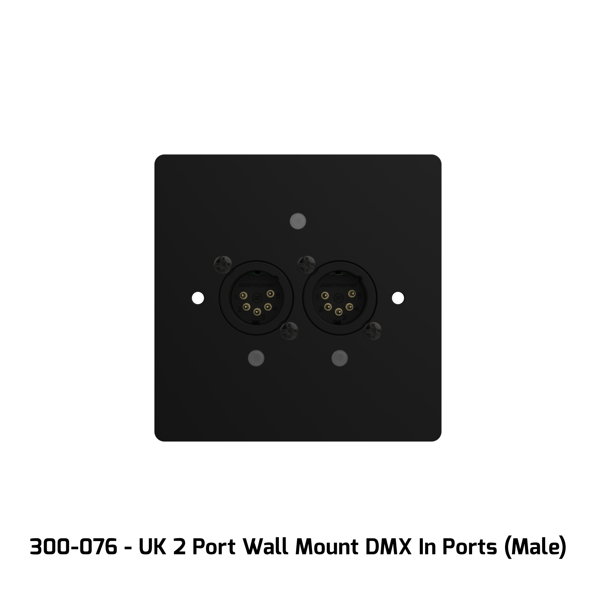 Chamsys GENETIX-GW2IN - GeNetix Wall Mount Node 2 DMX IN (GW2IN)