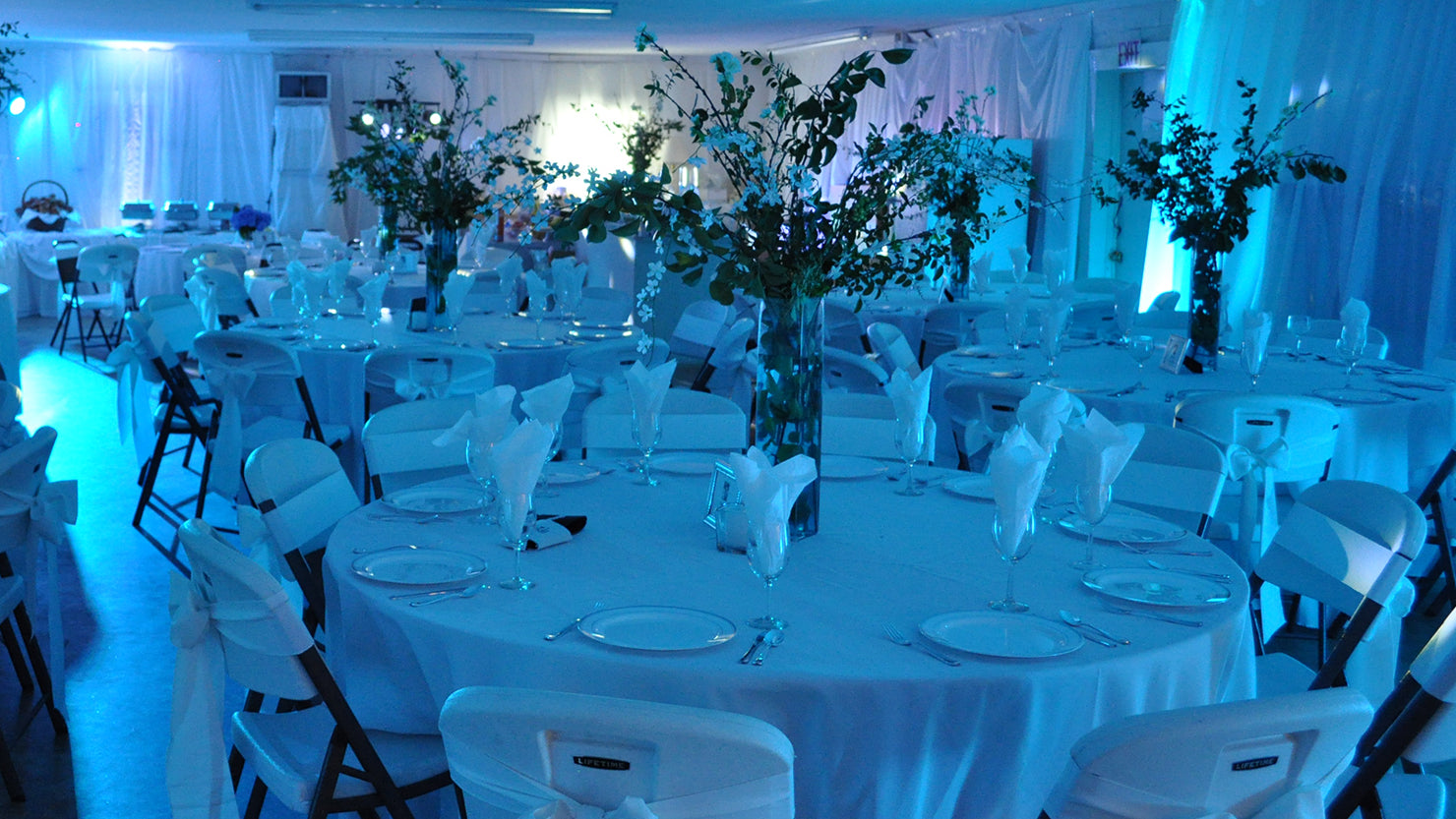 CHAUVET  SLIMPAR56ILS - Chauvet DJ