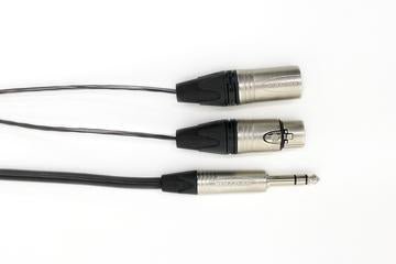 DIGIFLEX CINS SERIES 8-channel insert cables 8 -1/4" TRS / XLR (MX SEND, FX RETURN)