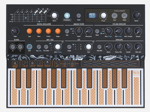 Descriptive image text