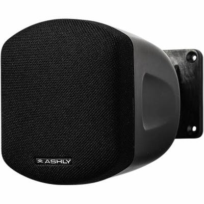 ASHLY AW2.1P - Ashly AW2.1P Passive Full Range All Weather Speaker Pair - 2.5" (Black)