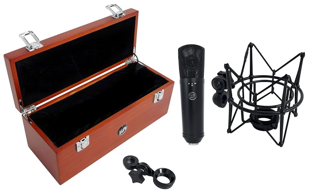 WARM WA87-R2 BLACK (Open box - 2 available) Condenser studio microphone
