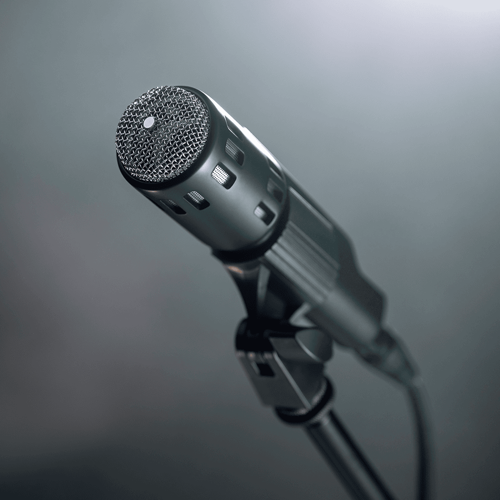 WARM Retro 64 - Dynamic Live Microphone For Vocals & Instruments