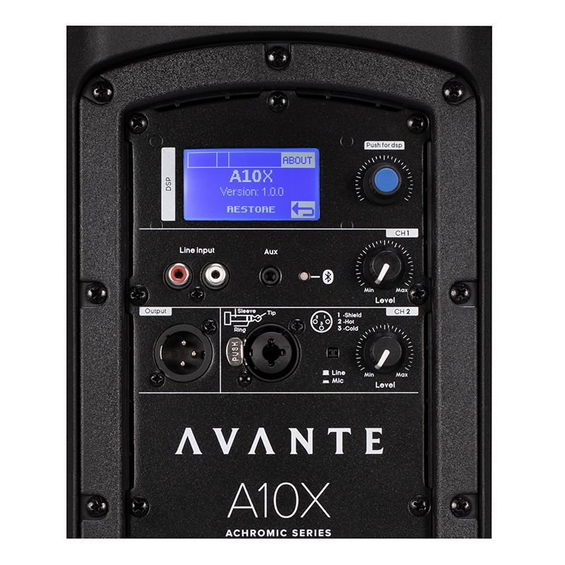 AVANTE A10X - 1000W - 10 inch 2 Way Powered Speaker