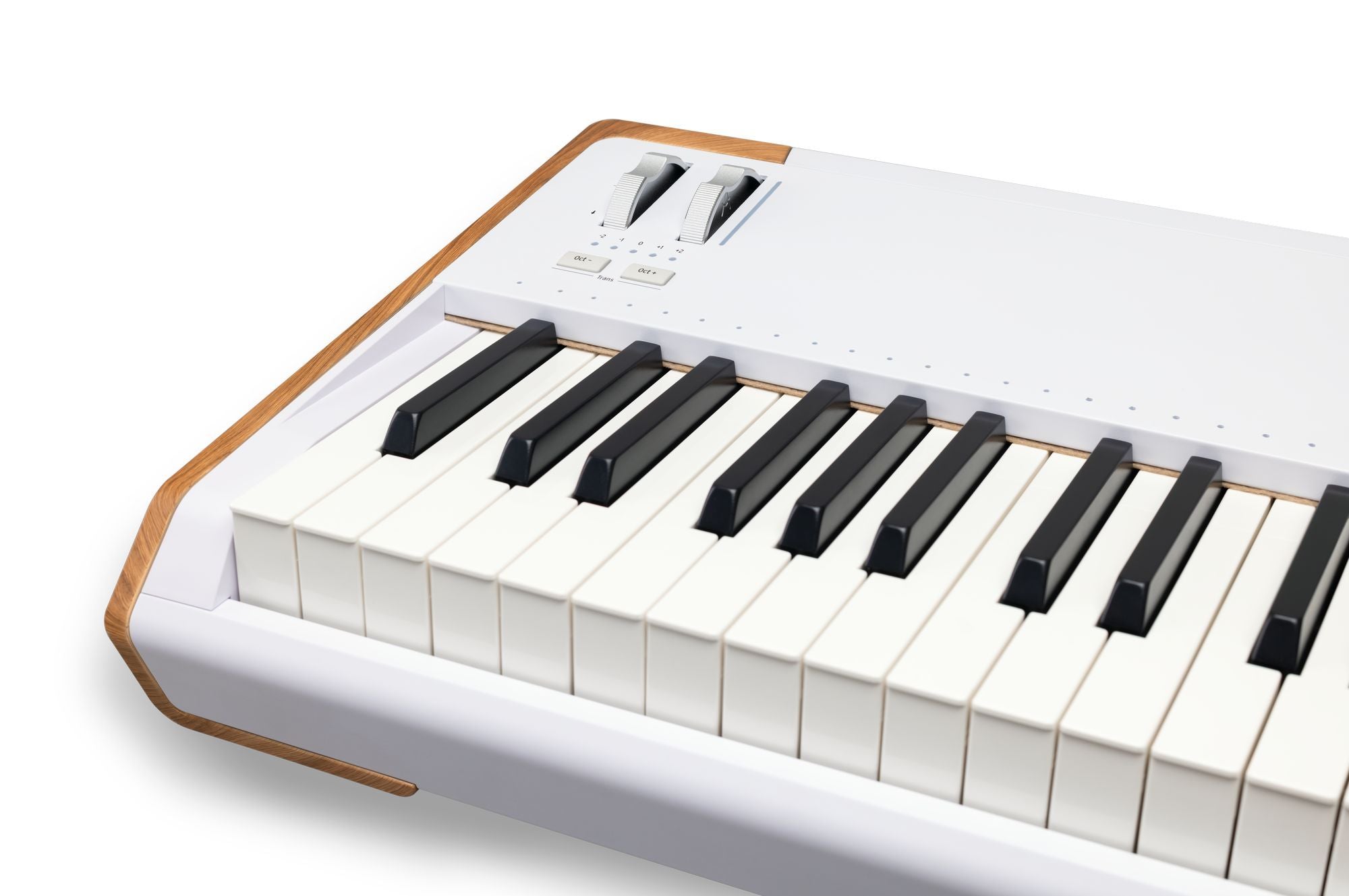 ARTURIA ASTROLAB 88 - Avant-garde 88 notes Stage Keyboard