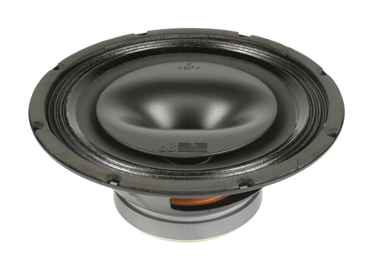 FMX10 - 10'' 2-WAY COAXIAL STAGE MONITOR
