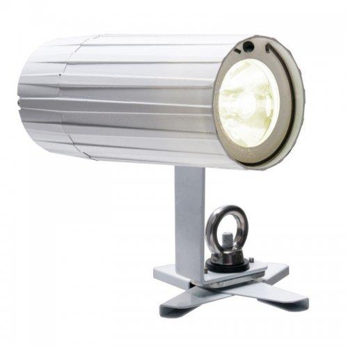 PINPOINT-GO-WW-PLUS - PLUS White Led Pinspot