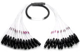 Digiflex DPR-12FX/12MX-50 Cable Multi-Channel - DPR Series 12-Channel Subsnakes DPR-12FX/12MX-50