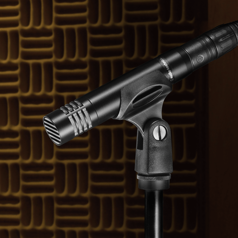 AUDIO-TECHNICA AT2021 Cardioid Condenser Microphone